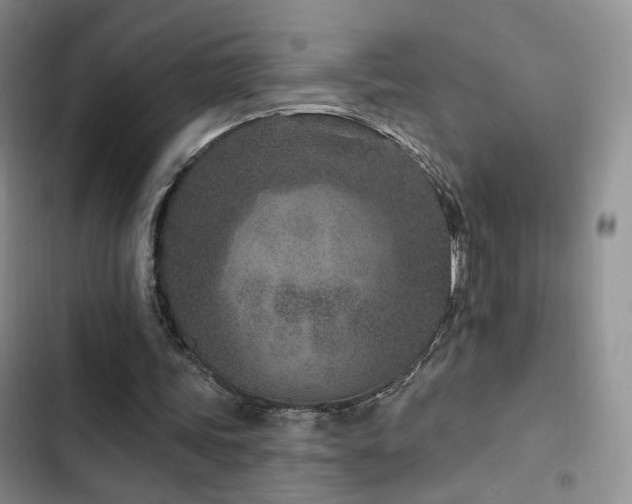 X0000102790339200808181305