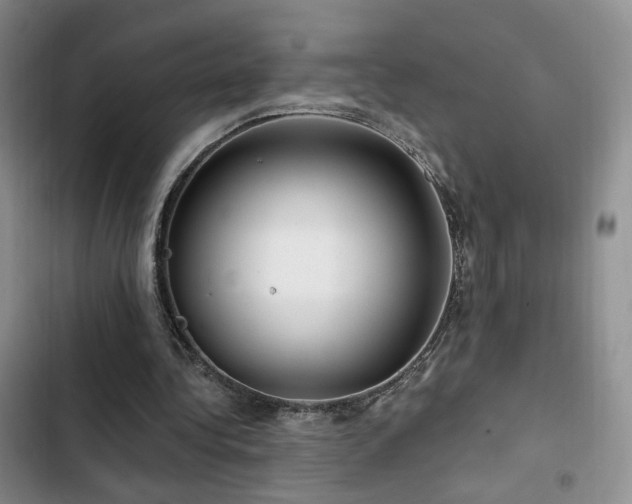 X0000102790340200808181305
