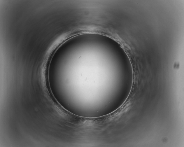 X0000102790341200808181305