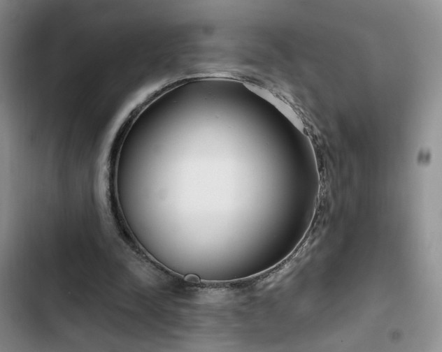 X0000102790342200808181305