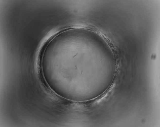X0000102790343200808181305
