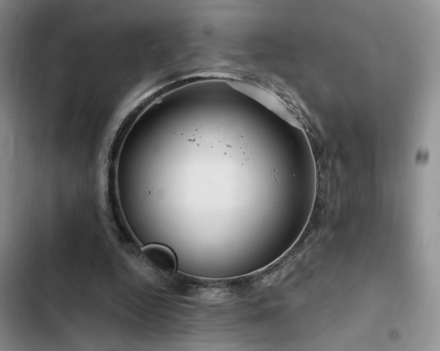 X0000102790344200808181305