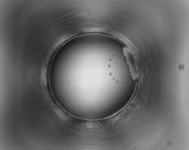 X0000102790345200808181305
