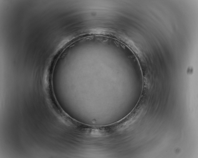 X0000102790347200808181305