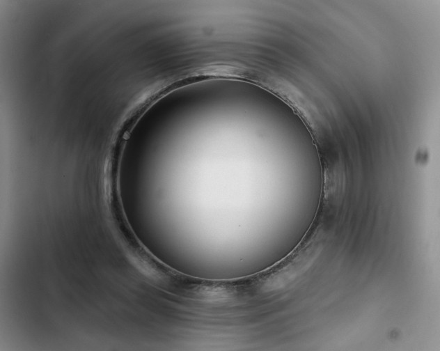 X0000102790349200808181305
