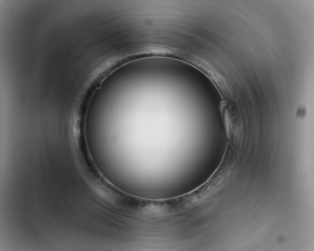 X0000102790350200808181305