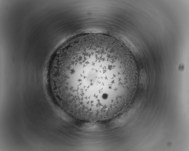 X0000102790351200808181305