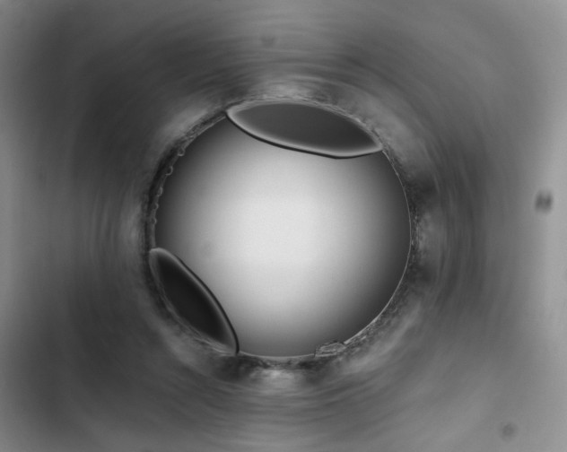 X0000102790352200808181305