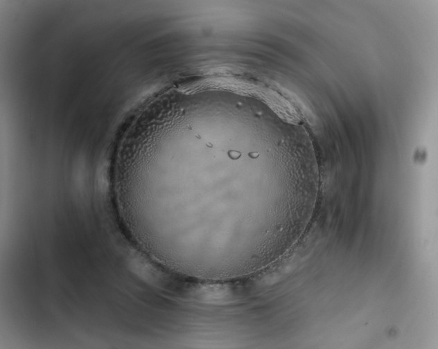 X0000102790353200808181305