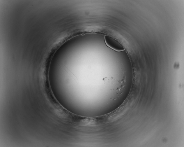 X0000102790354200808181305