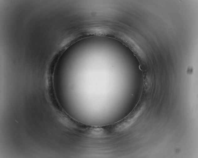 X0000102790355200808181305