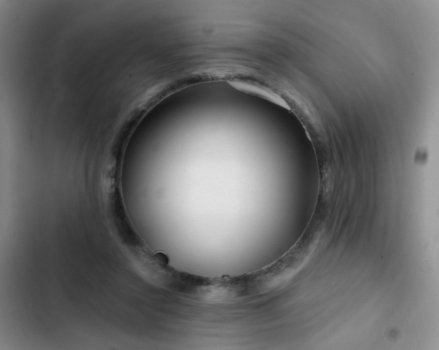 X0000102790356200808181305