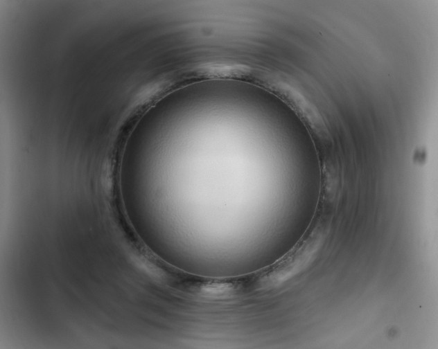 X0000102790357200808181305
