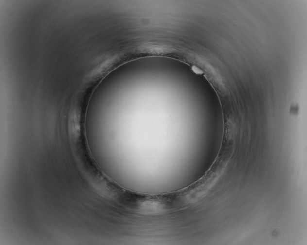 X0000102790358200808181306
