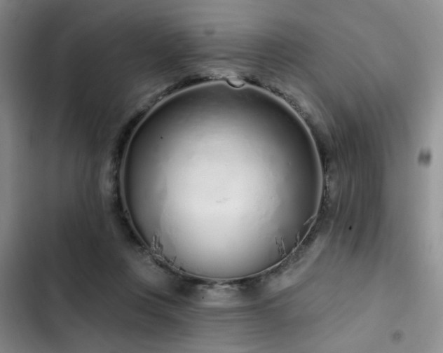 X0000102790359200808181306