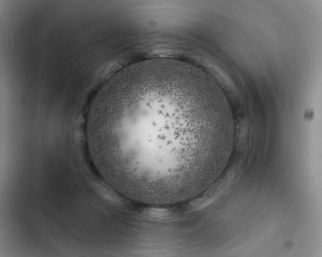 X0000102790361200808181306