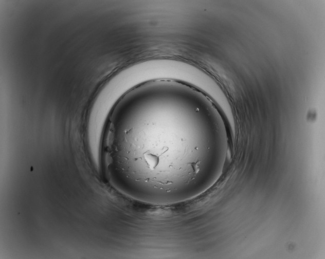 X0000102790362200808181306