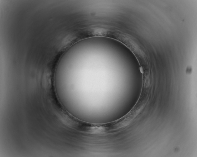 X0000102790363200808181306