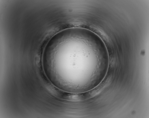 X0000102790365200808181306