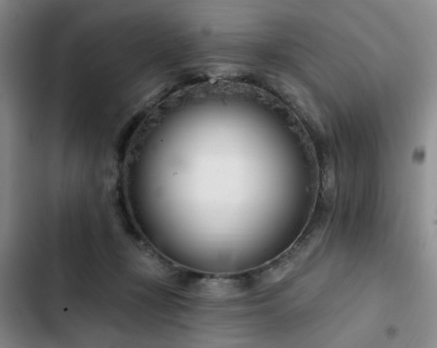 X0000102790367200808181306