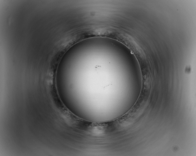 X0000102790368200808181306