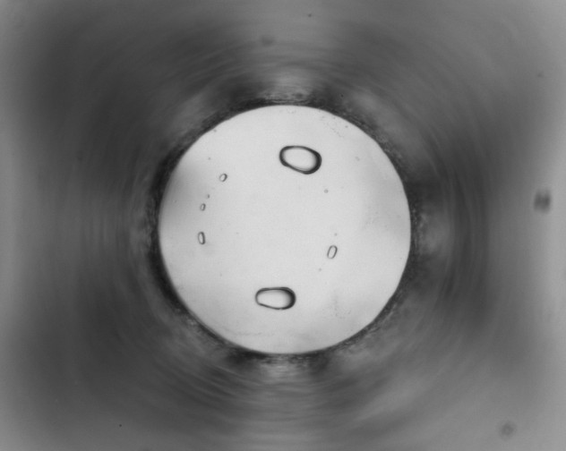 X0000102790370200808181306