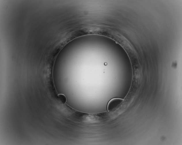 X0000102790372200808181306