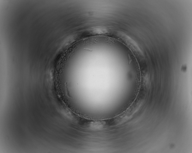 X0000102790373200808181306