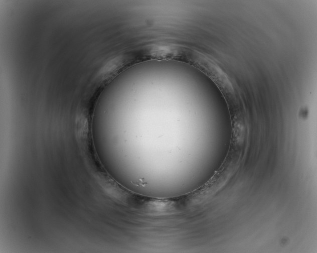 X0000102790375200808181306