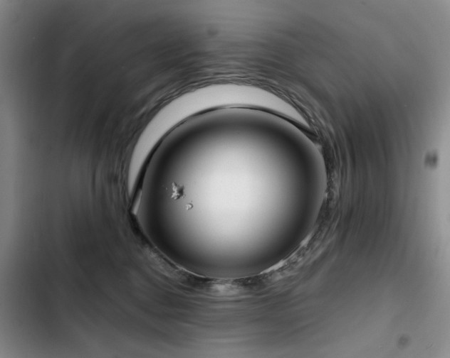 X0000102790376200808181306