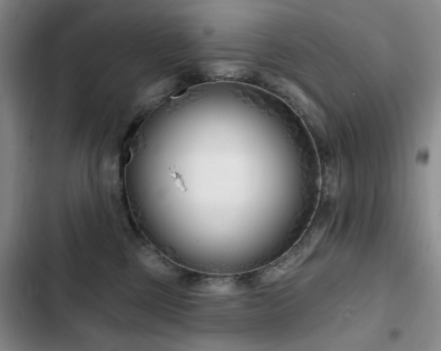 X0000102790377200808181306