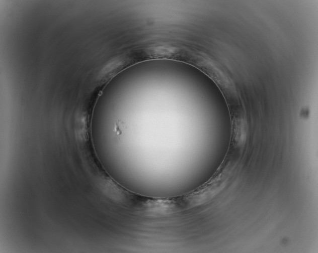 X0000102790378200808181306