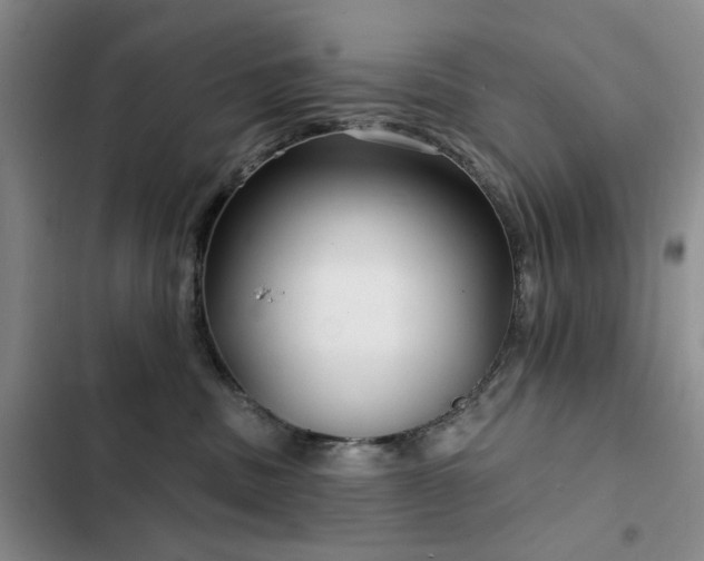 X0000102790379200808181306