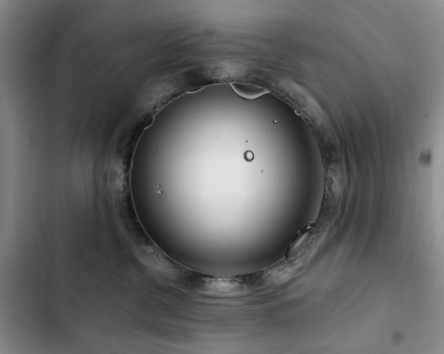 X0000102790380200808181306