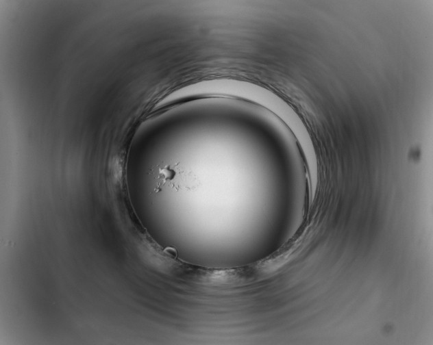 X0000102790382200808181306