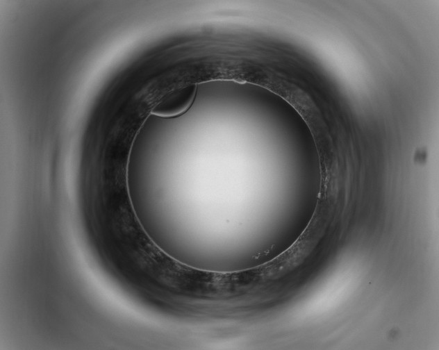 X0000102790383200808181306