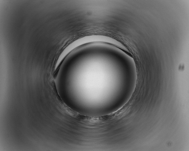 X0000102790384200808181306