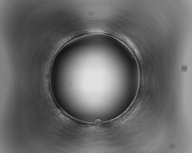 X0000102790385200808181305