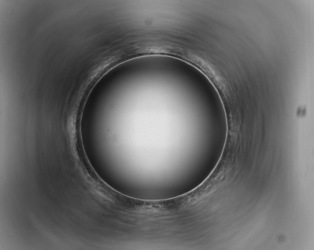 X0000102790386200808181305