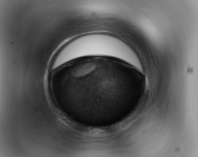 X0000102790387200808181305