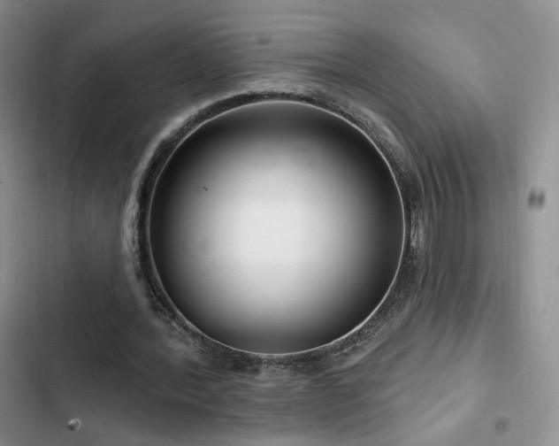 X0000102790388200808181305