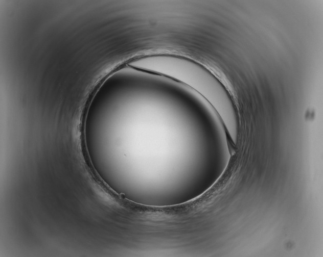 X0000102790389200808181305