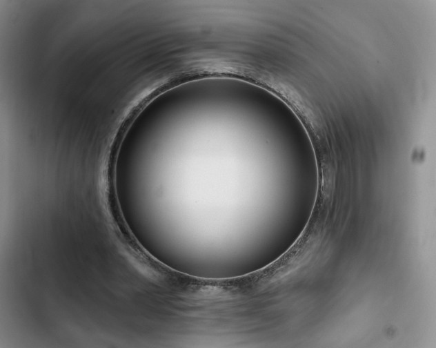 X0000102790390200808181305