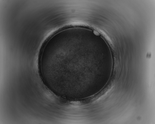 X0000102790391200808181305