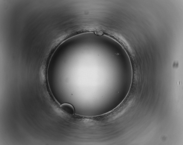 X0000102790393200808181305