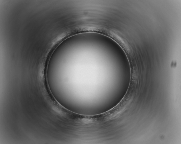 X0000102790394200808181305