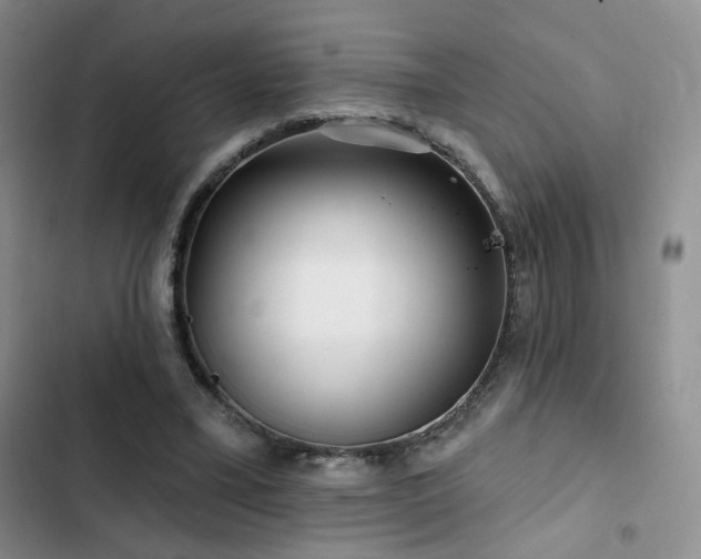 X0000102790395200808181305