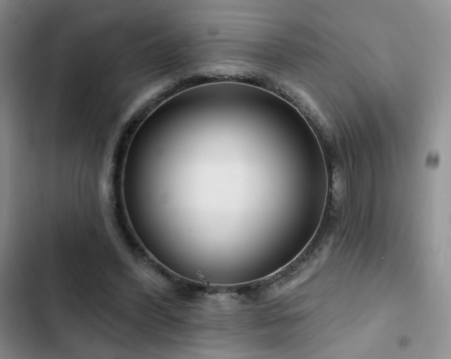 X0000102790396200808181305