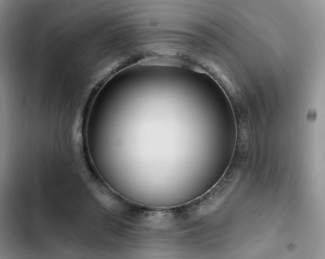 X0000102790398200808181305