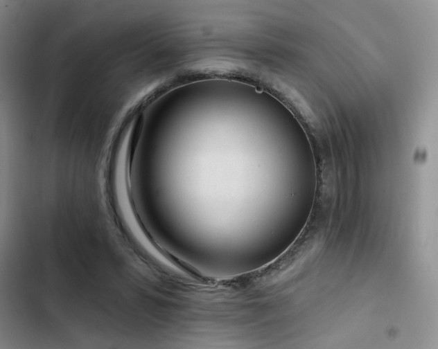 X0000102790399200808181305